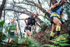 BIB: 
                            <button type="button" onclick="openModal(26295371)" class="btn btn-primary btn-sm float-right btn-popup" data-toggle="modal" data-target=".modal-high-quality">
                        <i class="fas fa-shopping-cart"></i> Add to Cart
                    </button>
                                            <button type="button" onclick="isThisMe(26295371, true)" class="btn btn-success btn-sm float-right btn-popup btn-isme hidden" data-toggle="tooltip" data-placement="bottom" title="นี่คือรูปของคุณใช่ไหม คลิกที่นี่เพื่อเอาเข้าอัลบั้ม">
                        <i class="fas fa-plus"></i> Add to album
                    </button>
                    <button type="button" onclick="isThisMe(26295371, false)" class="btn btn-warning btn-sm float-right btn-popup btn-isnotme hidden">
                        <i class="fas fa-ban"></i> Remove from album
                    </button>